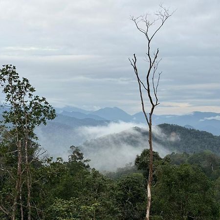 Misty At Fraser'S Hill Fraser Hill Ngoại thất bức ảnh