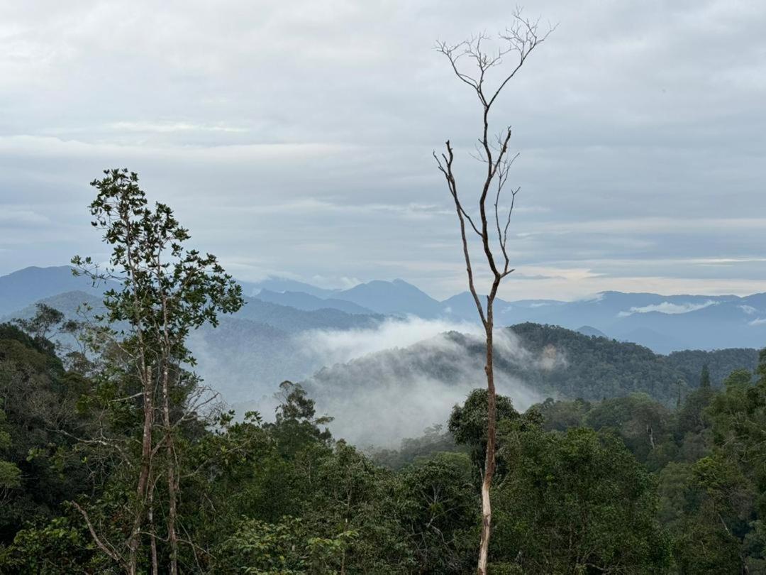 Misty At Fraser'S Hill Fraser Hill Ngoại thất bức ảnh